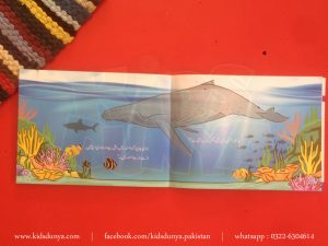 Bara Bakra (Urdu Book)