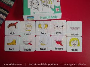 Human Body Puzzle Set