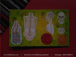 Super Skeleton Build It Now