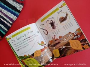 Forest Life and Woodland Creatures