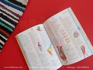 Usborne Illustrated English Dictionary